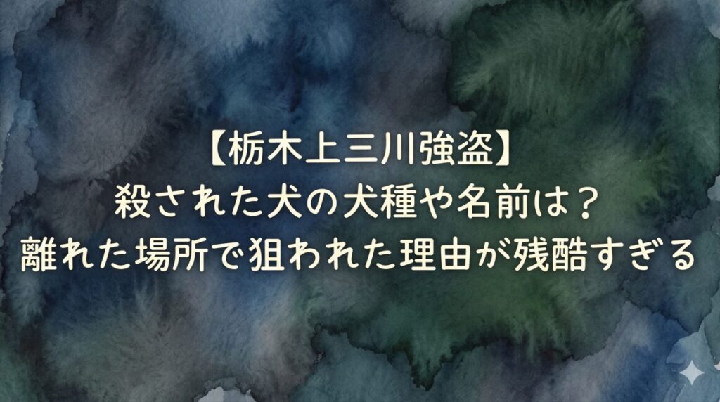 【栃木上三川強盗】殺された犬の犬種や名前は？離れた場所で狙われた理由が残酷すぎる