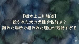 【栃木上三川強盗】殺された犬の犬種や名前は？離れた場所で狙われた理由が残酷すぎる