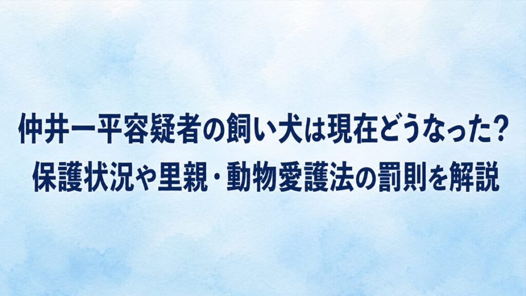 仲井一平容疑者の飼い犬は現在どうなった？保護状況や里親・動物愛護法の罰則を解説