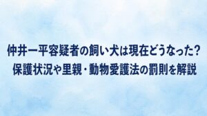 仲井一平容疑者の飼い犬は現在どうなった？保護状況や里親・動物愛護法の罰則を解説