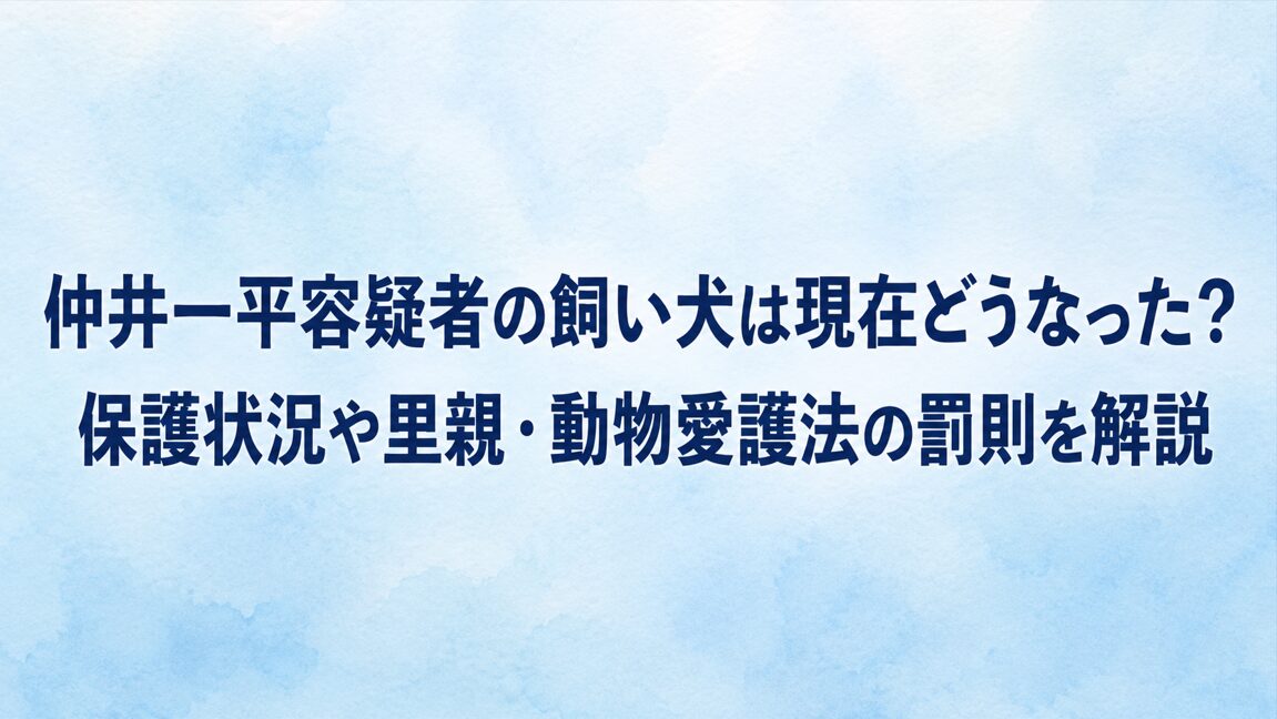 仲井一平容疑者の飼い犬は現在どうなった?保護状況や里親・動物愛護法の罰則を解説